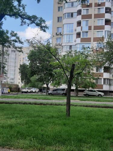 City Center Apartment