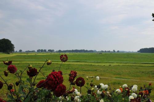 Bed & Breakfast Erve 't Hacht
