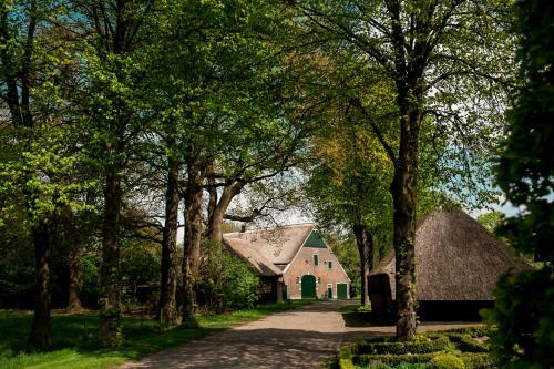 Bed & Breakfast Rheezerstee