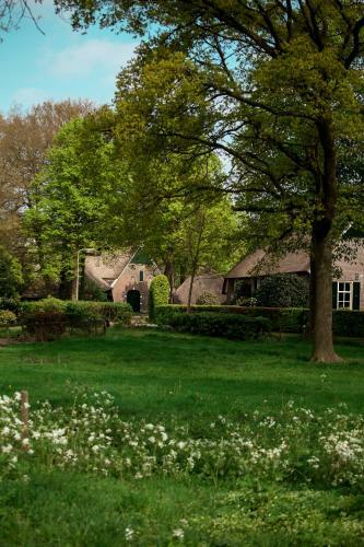 Bed & Breakfast Rheezerstee