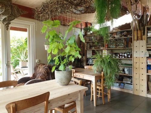 B&B Het Oude Atelier