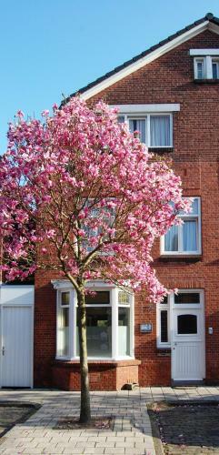 B&B Ensche-day Inn