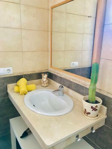 Casa Cactus