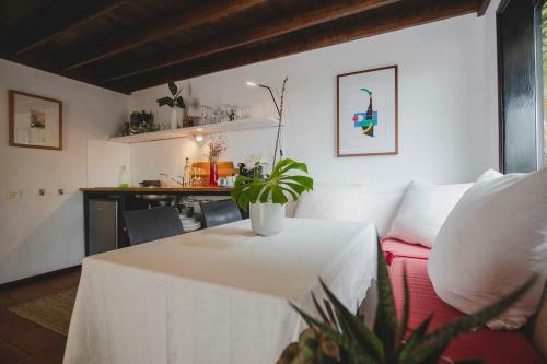 Hostal Finca Malvasia Vineyard