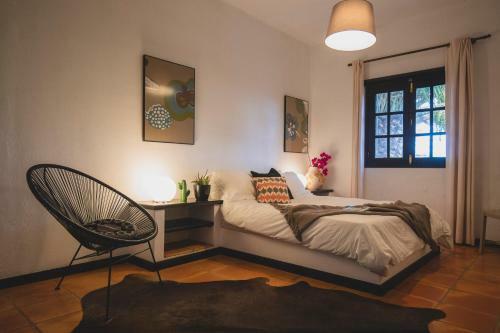 Hostal Finca Malvasia Vineyard