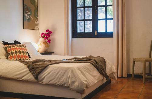 Hostal Finca Malvasia Vineyard