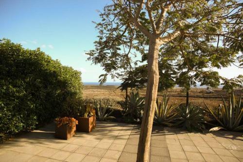 The Sea View Cottage