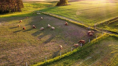 Agroturismo Krasne Pole Gospodarstwo Rolne