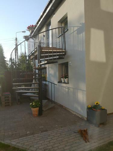 Apartamento Hacjenda