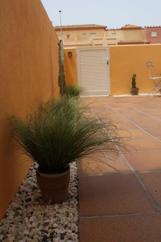 Apartamento Tarifa