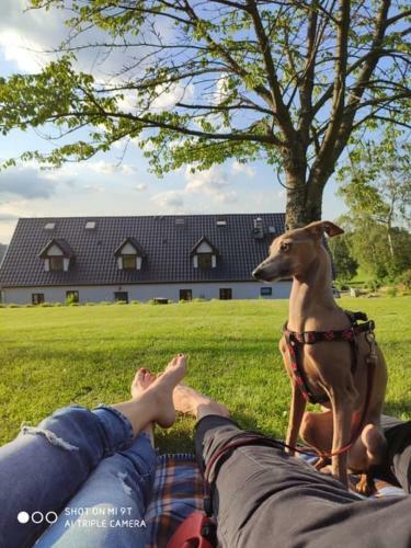 Bed & Breakfast Pokoje Go?cinne Art- Dworek