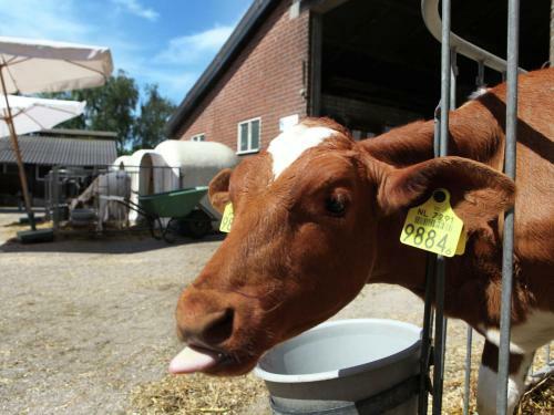 Agroturismo Holiday Home Wijsthoeve Uden