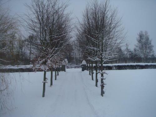 Bed & Breakfast Hoeve Berghof