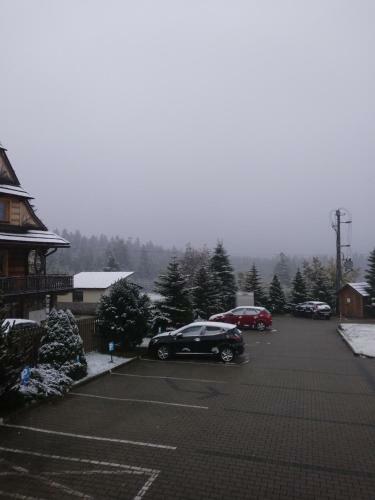 Widokowy Apartament "b�r"