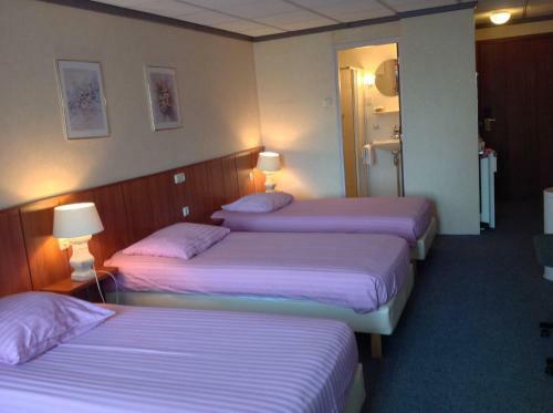 Appartement Hotel Driebanen***/suydersee Hotel****