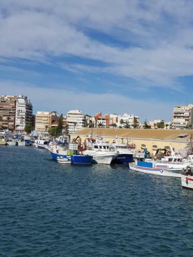 Apartment Doris - La Mata