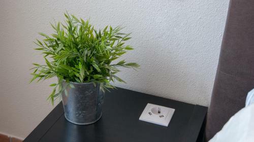 B&B And Hotel Erve Bruggert