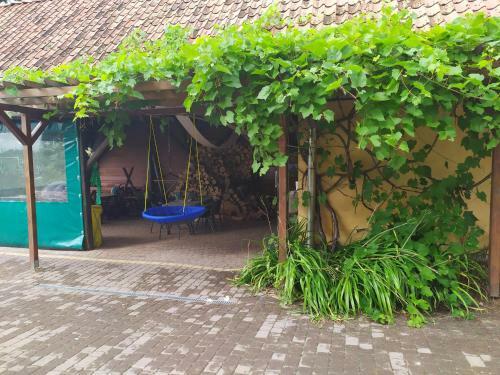 Domek Na Wzg�rzu Blanki