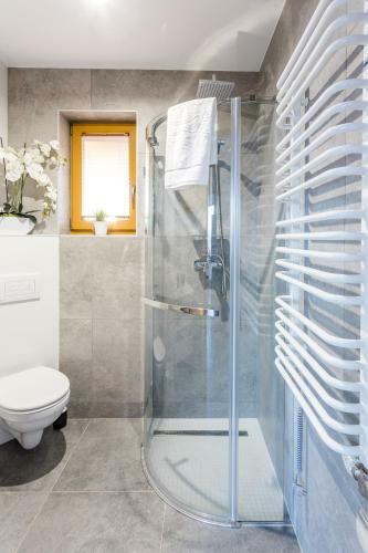Czorsztyn Ski&sail Aparthouse