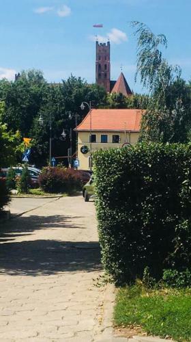 Apartament Chanel Centrum