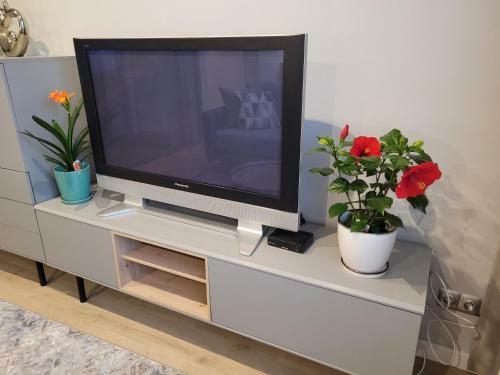 Apartamenty Milenijna 2 Malbork Nowa Wie?