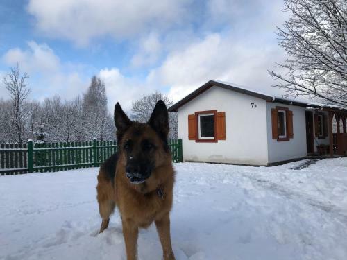 Apartamento Noclegi Karkonosze S?oneczna Dolina 7b
