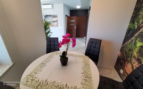 Apartamenty Turkus