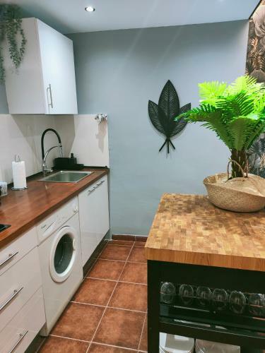 Palm View Luxury Apartment