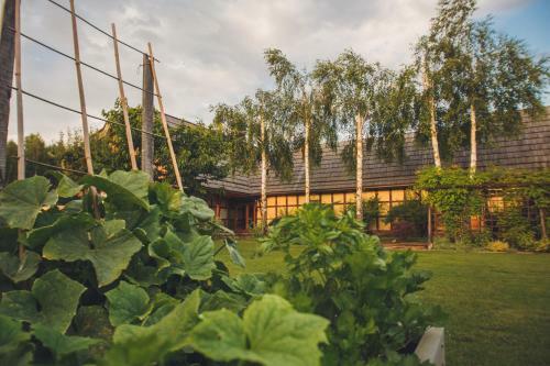 Bed & Breakfast Mak
