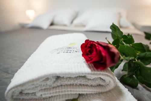 Premium Apartamenty Na??cz�w