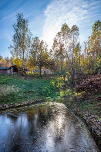 Siedlisko Zag�rze