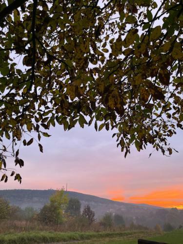 Hostal Willa Czarownica