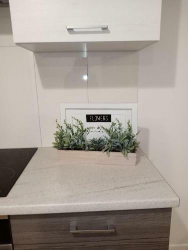 Apartament Zielona Per?a