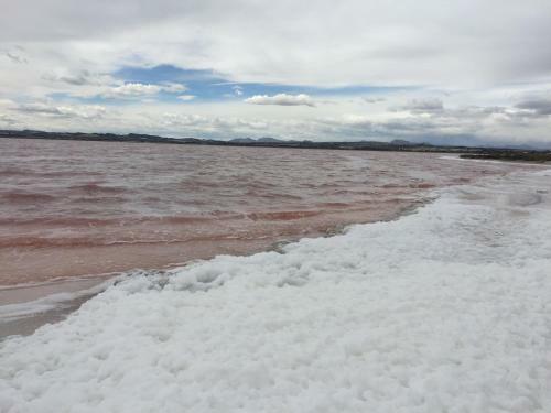 Seafront Dream Apartment