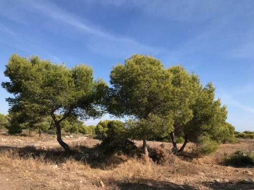 Apartamento Appartement Kyrah