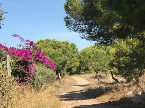 Apartamento Appartement Kyrah