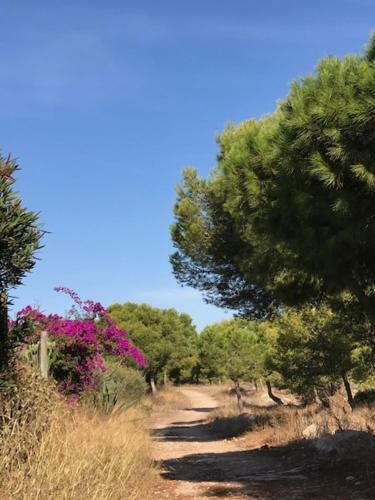 Apartamento Appartement Kyrah