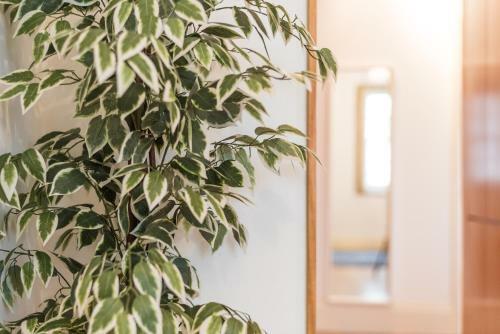 Apartamento Guestready- Dalliance Apts