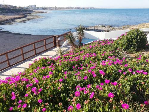 Apartamento Cozy Studio In Torrevieja, Estudio Tamarindo