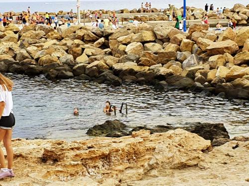 Apartamento Cozy Studio In Torrevieja, Estudio Tamarindo