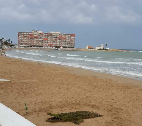 Apartament Nicoletta Costa Blanca Torrevieja