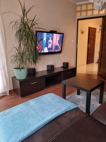 Apartament Central Park