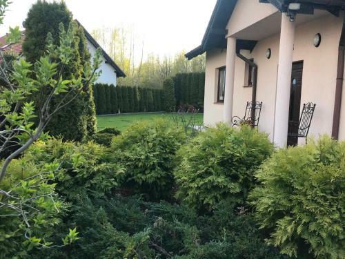 Apartamento Dom Na Warmii W Olsztynie