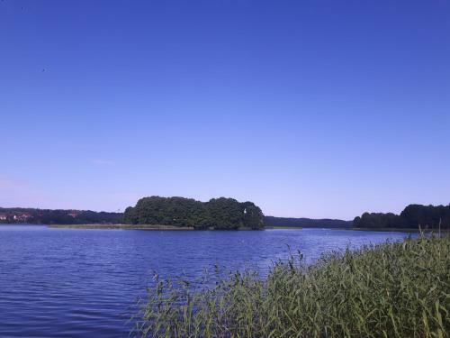 Villa Mazury Willa Pelnik Jezioro Las