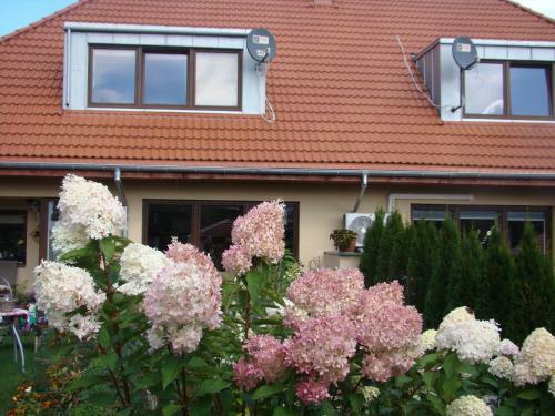 Apartament Honey