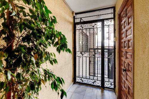 Apartment Concordia