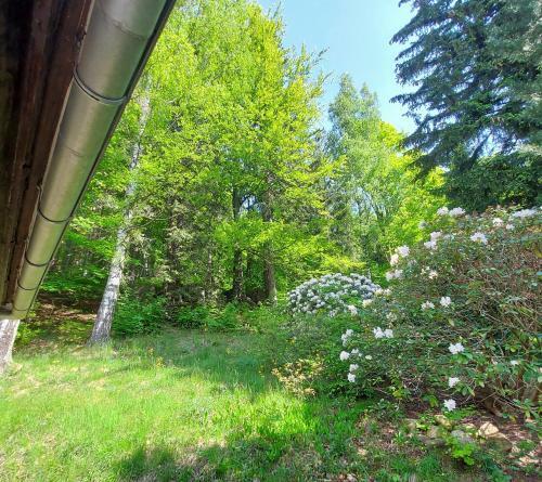 Apartamento "dom Z Dusz? - Przesieka"