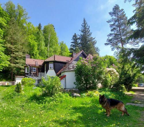 Apartamento "dom Z Dusz? - Przesieka"
