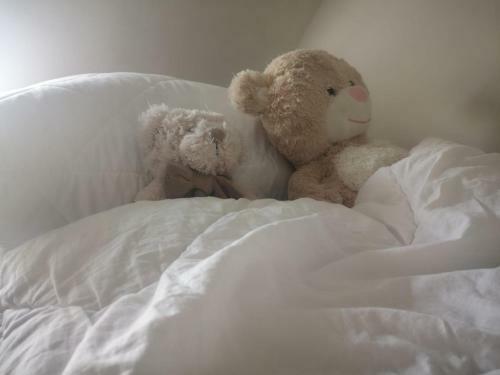 Apartamenty Lena 16