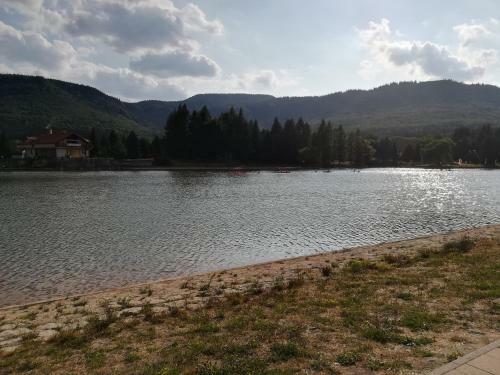 Apartamento Kamienica Radk�w